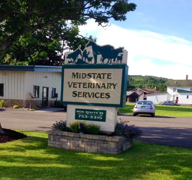 Midstate Veterinary Services Picture 3