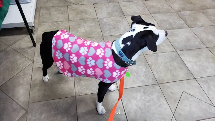 Midstate Veterinary Services Picture 5