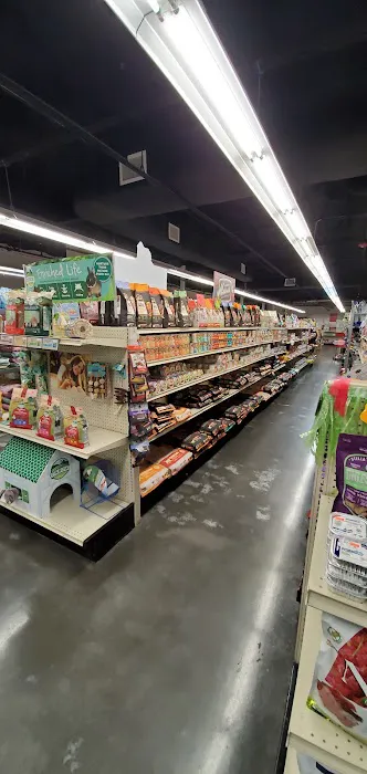 Pet Supermarket Picture 2