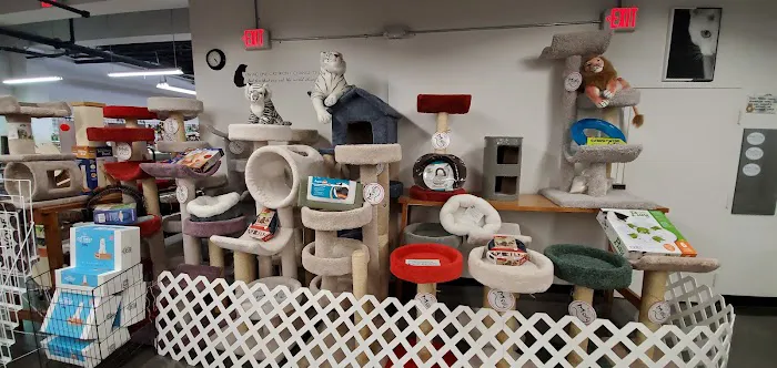 Pet Supermarket Picture 3
