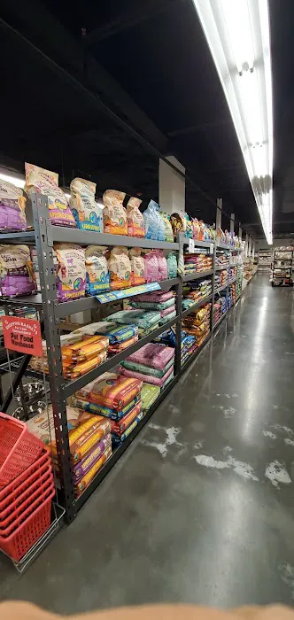 Pet Supermarket Picture 8