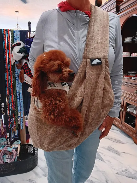 Boujee Pet Boutique Picture 8