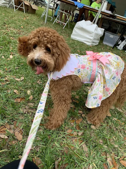 Boujee Pet Boutique Picture 2