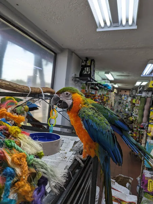 Animal House Pet Center Picture 9