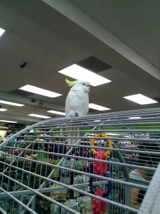 Animal House Pet Center Picture 7