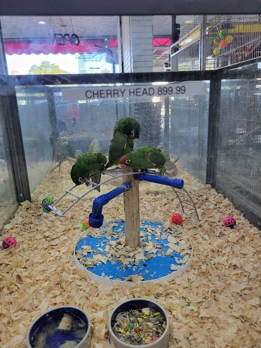 Animal House Pet Center Picture 1