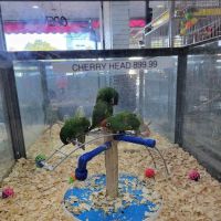 Animal House Pet Center ico