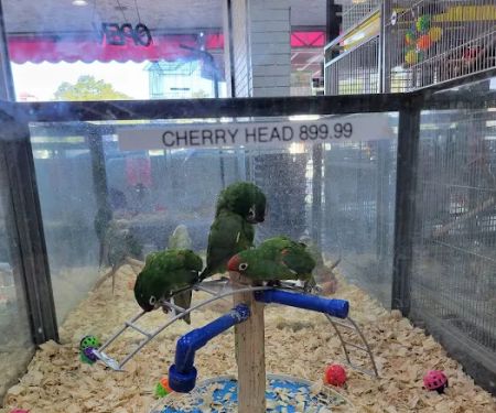 Animal House Pet Center