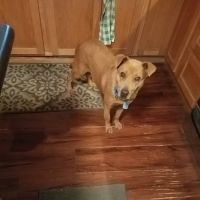 Mid State Veterinary Services: Rath Laura DVM ico