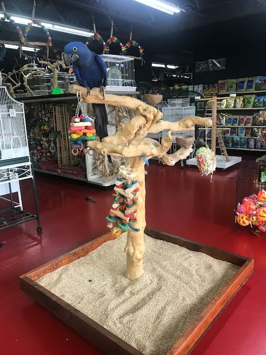 Just4Birds Picture 4