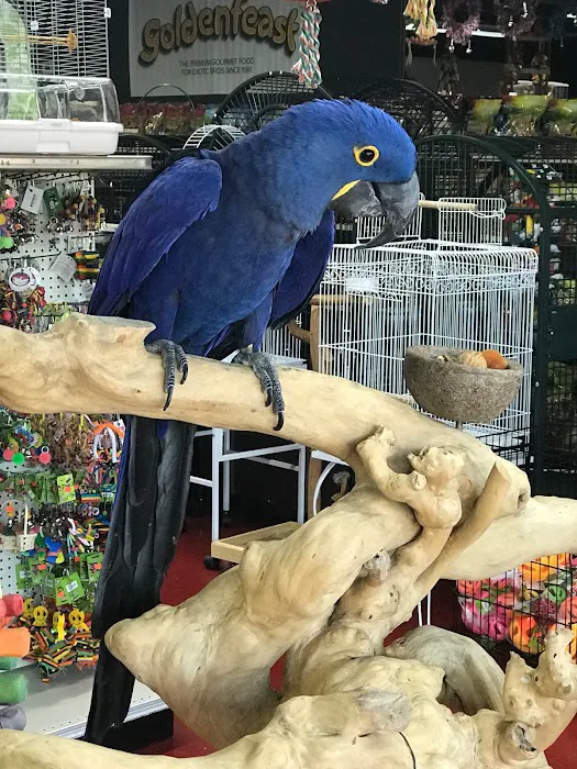 Just4Birds Picture 8