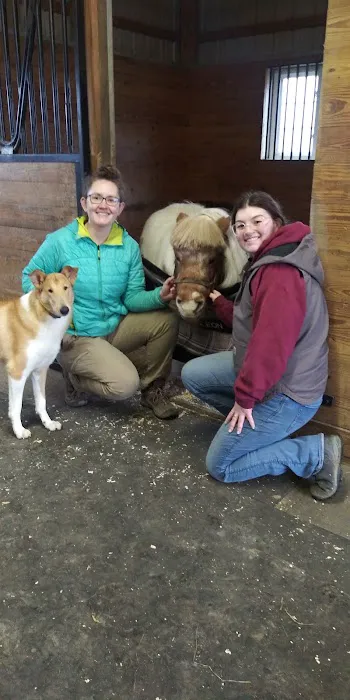 Groton City Animal Hospital Picture 6