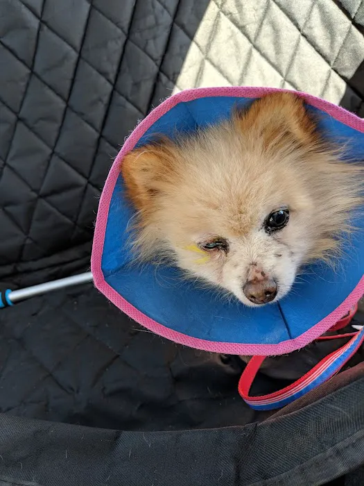 Groton City Animal Hospital Picture 7