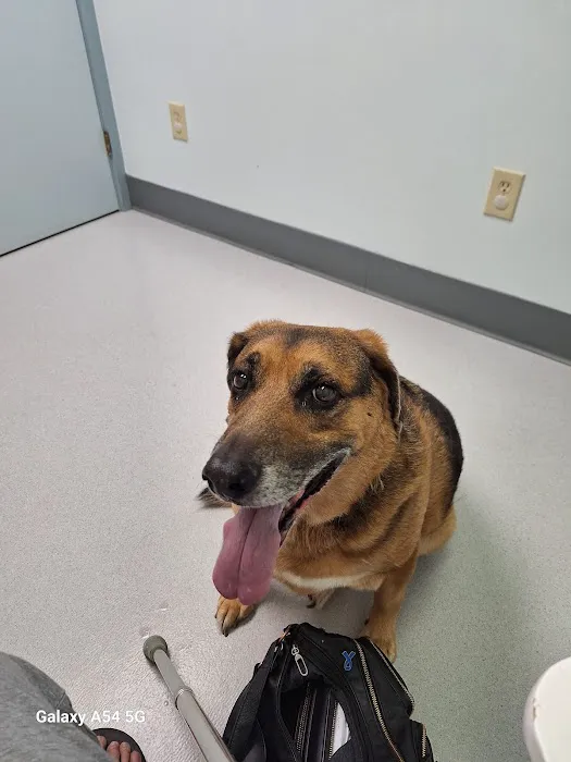 Groton City Animal Hospital Picture 8