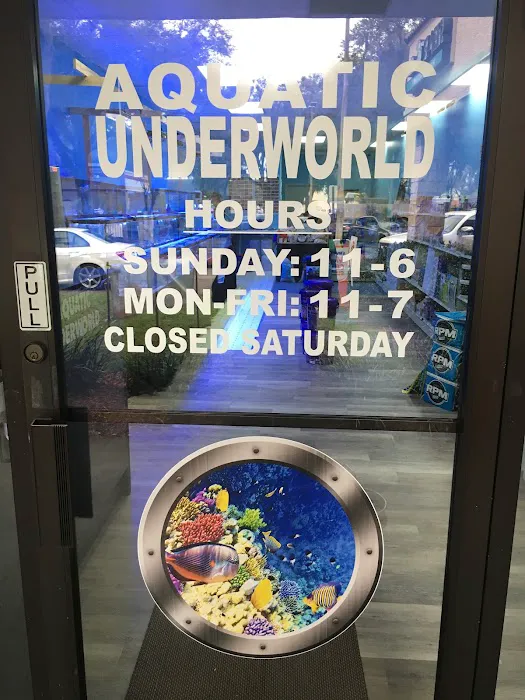 Aquatic Underworld Picture 9