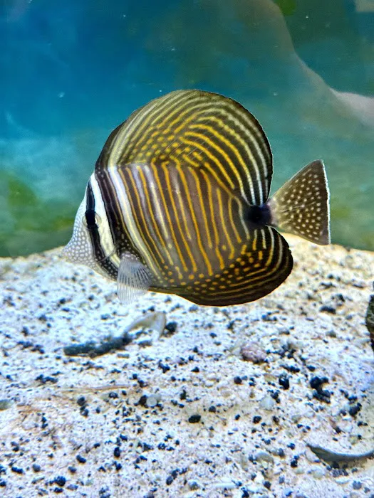 Aquatic Underworld Picture 7