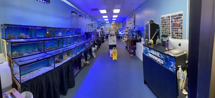 Aquatic Underworld Picture 4