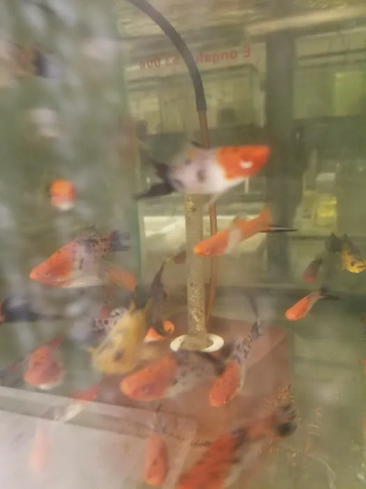 Tide & Stream Aquatics Picture 5