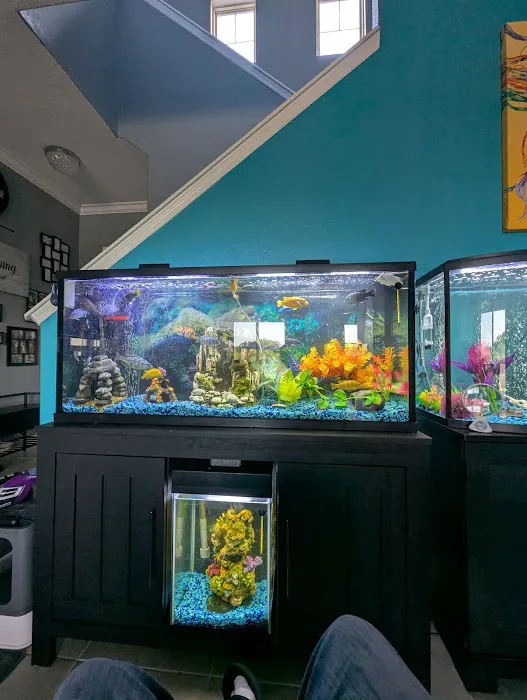 Tide & Stream Aquatics Picture 3