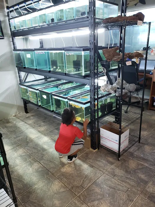 Tide & Stream Aquatics Picture 2