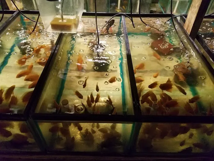 Tide & Stream Aquatics Picture 4