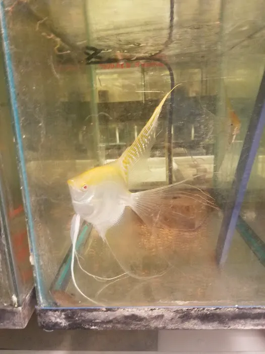 Tide & Stream Aquatics Picture 9
