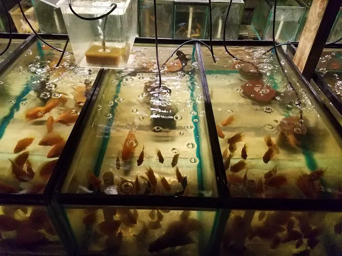 Tide & Stream Aquatics Picture 10