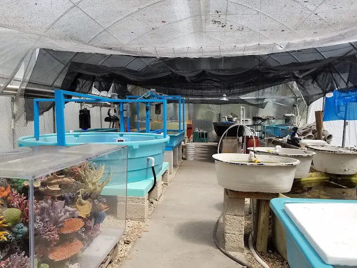 Seaview Wholesale Marine Life Picture 1