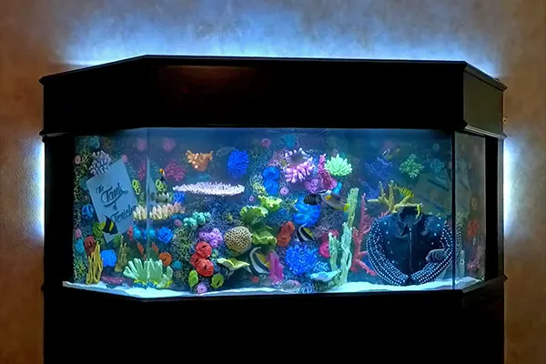 Tampa Aquarium Service Picture 2