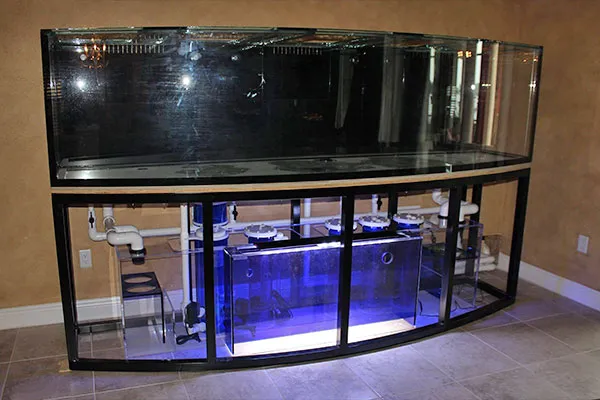 Tampa Aquarium Service Picture 9