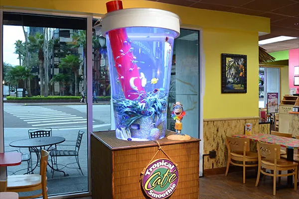 Tampa Aquarium Service Picture 5
