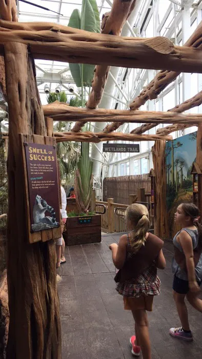 Tampa Aquarium Service Picture 8