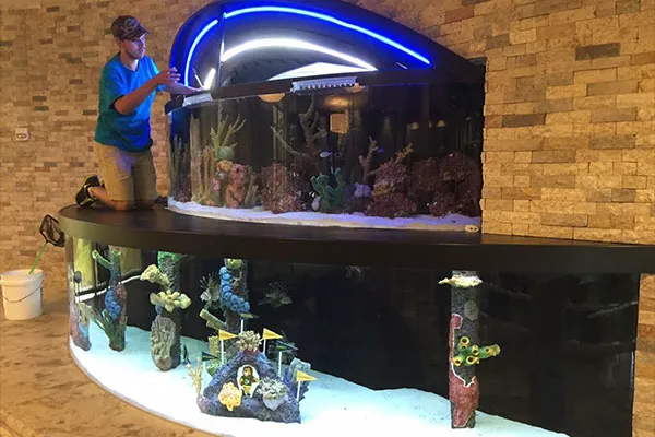 Tampa Aquarium Service Picture 10