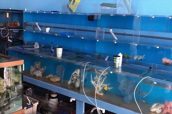 Tampa Aquarium Service Picture 3