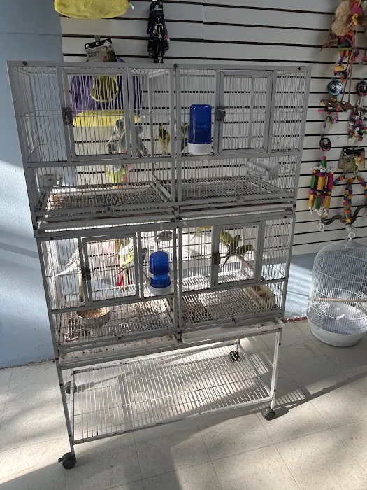Mermaid’s Animal Petshop Picture 2