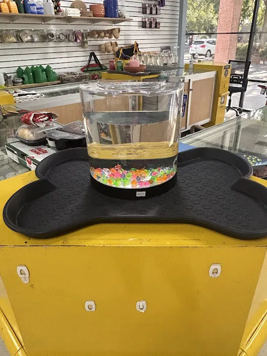 Mermaid’s Animal Petshop Picture 6