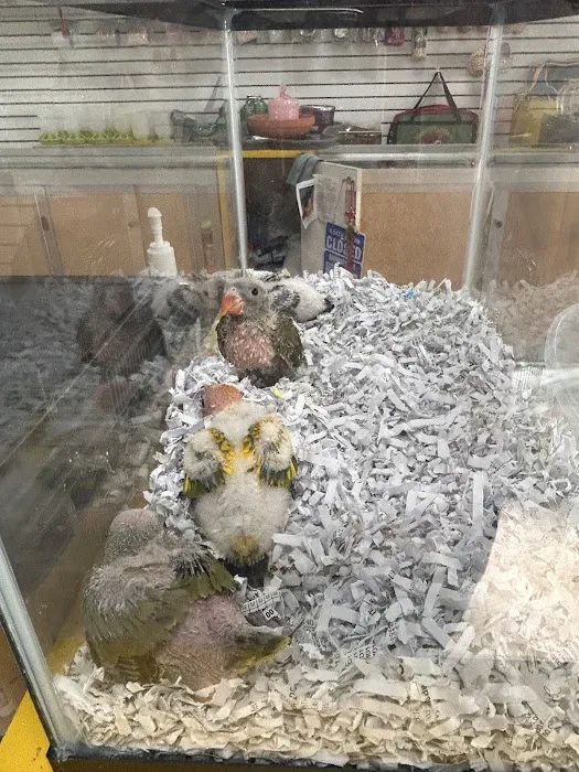 Mermaid’s Animal Petshop Picture 8