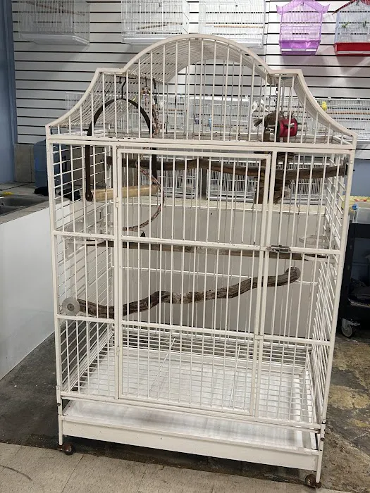 Mermaid’s Animal Petshop Picture 5
