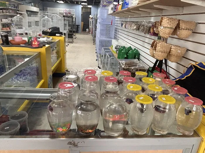Mermaid’s Animal Petshop Picture 1
