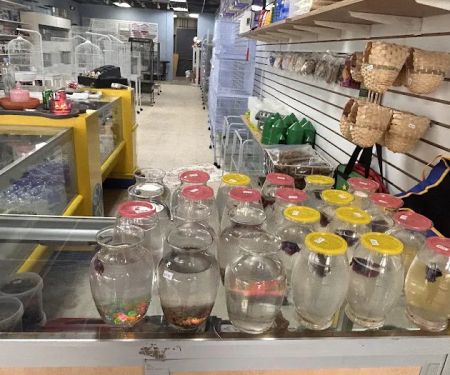 Mermaid’s Animal Petshop