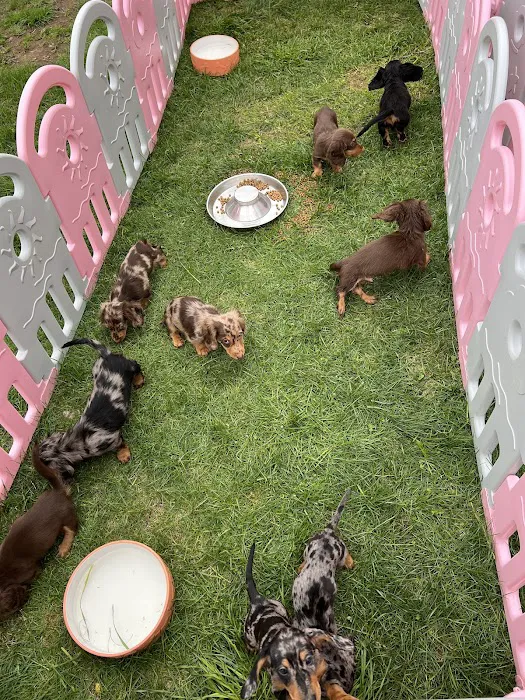 Davenport veterinary clinic Picture 7