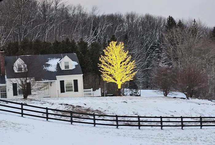 Heritage Veterinary Clinic Picture 8
