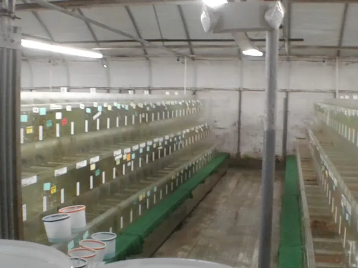 Segrest Farms Picture 7
