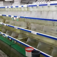 Segrest Farms ico