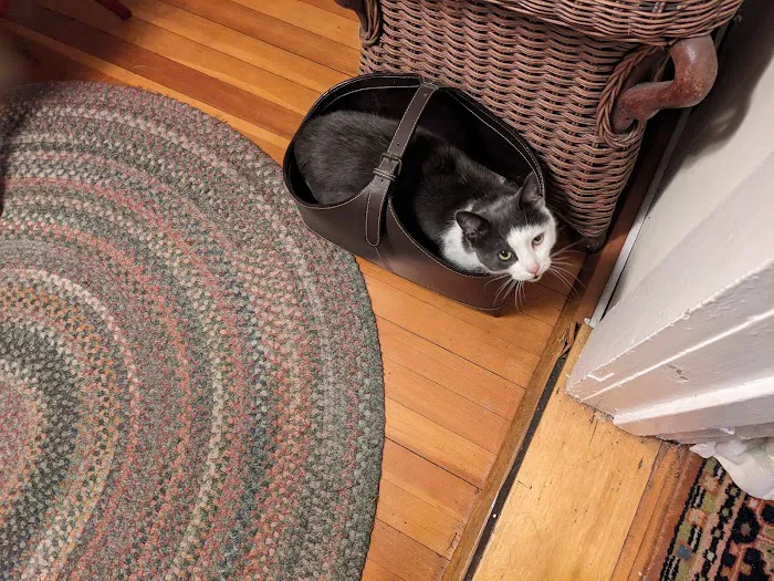 Arkville Veterinary Care Picture 6