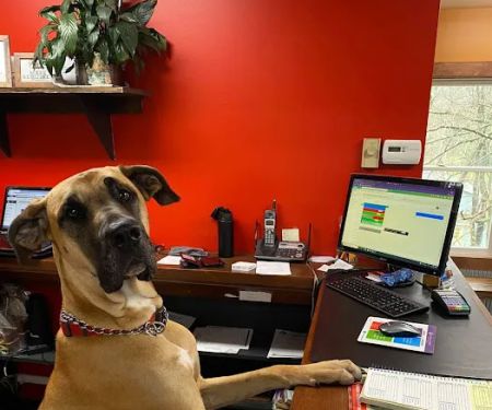 Arkville Veterinary Care