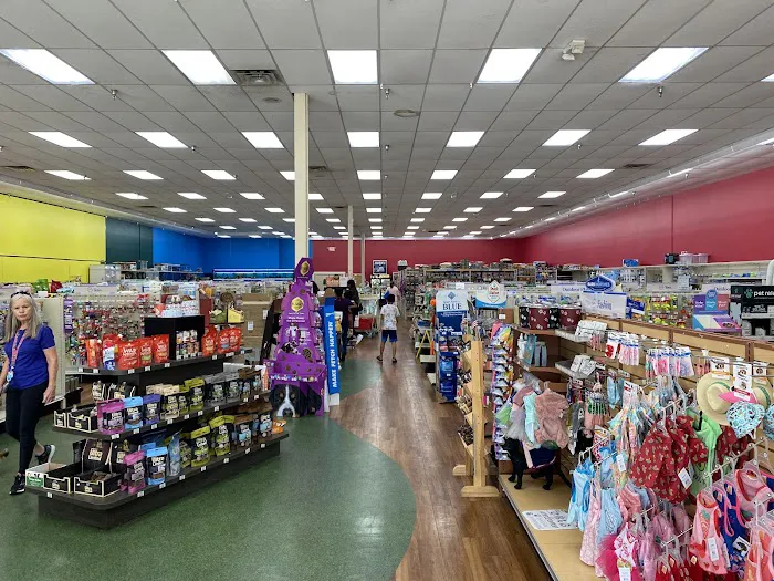 Pet Supermarket Picture 4