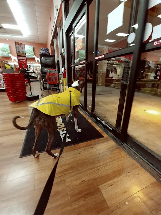 Pet Supermarket Picture 3