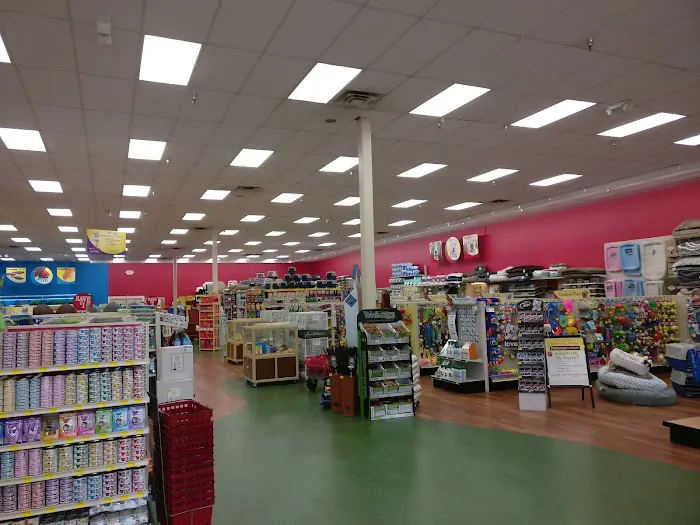 Pet Supermarket Picture 8