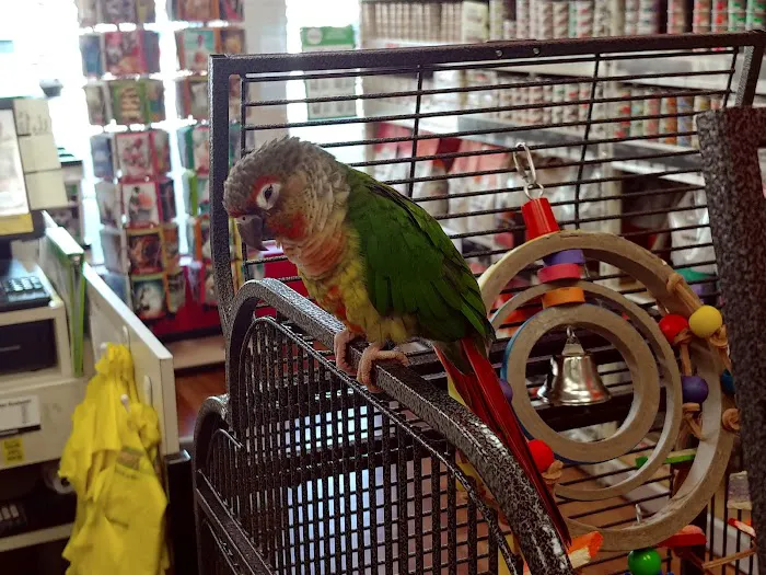 Pet Supermarket Picture 7